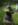 Der Zwillingsapfel